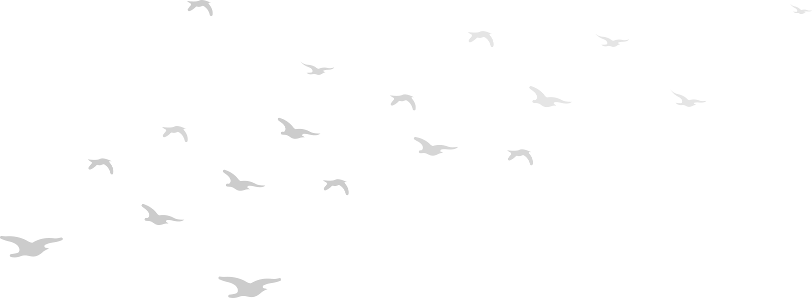 rightBirds